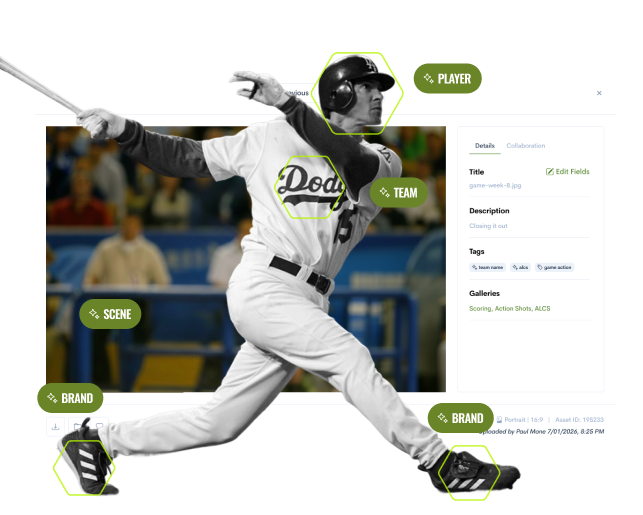 Identify, tag, and organize illustration