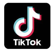 TikTok Icon