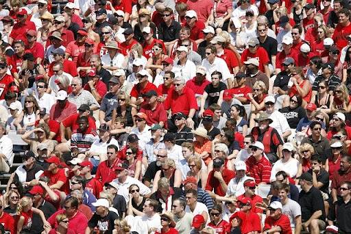 Full stands in team colors at a sporting event.