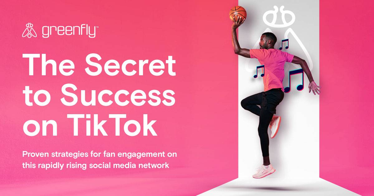 The Secret to Success on TikTok cover with basketball player on pink background and subheading text.